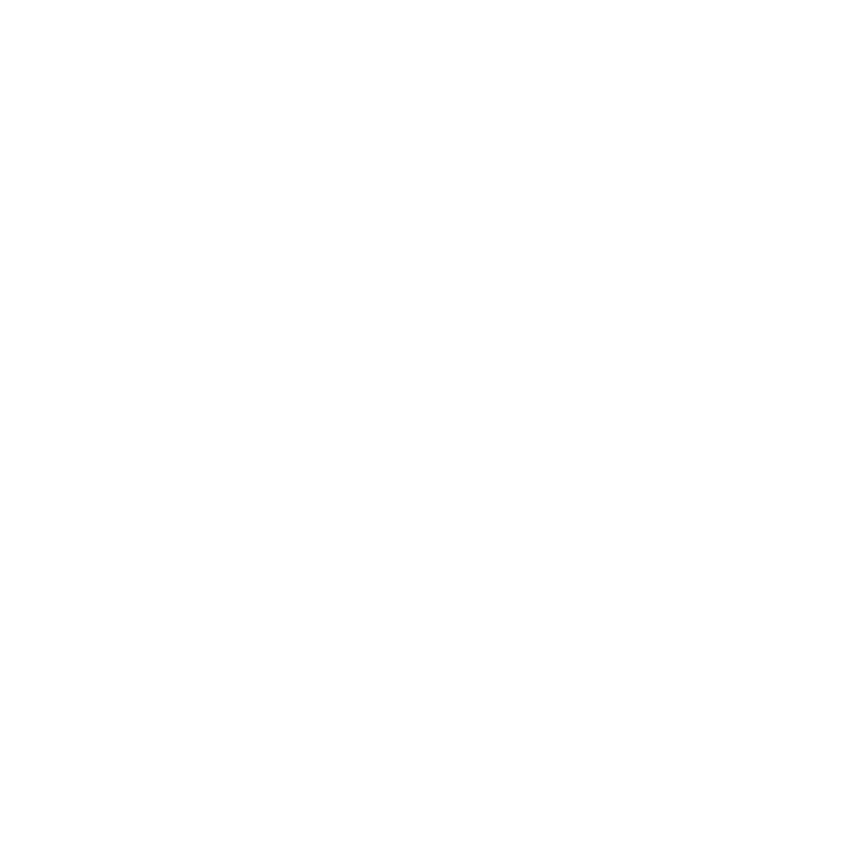 TM BUSINESS TRANSPORTS